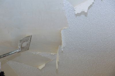 Inside of a Ceiling Repair