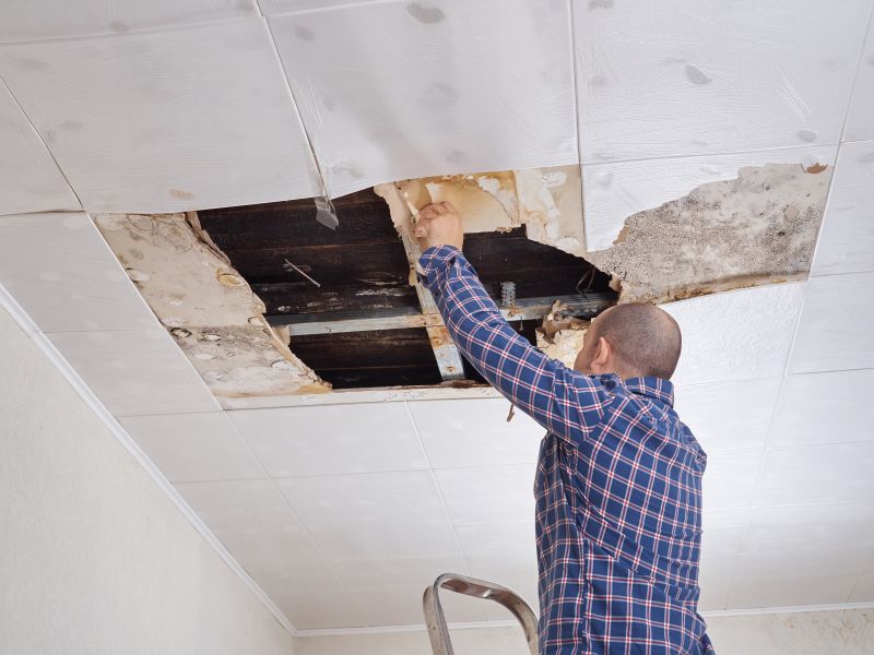 Ceiling Repair Services